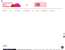 Tablet Screenshot of contemporaryartandfeminism.com